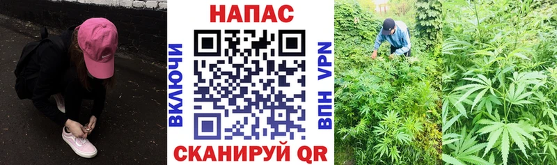 Какие есть наркотики Видное Конопля Кокаин АМФЕТАМИН Меф мяу мяу СК