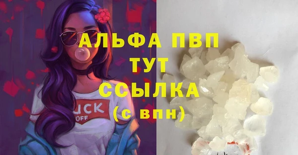 гидра Белоозёрский