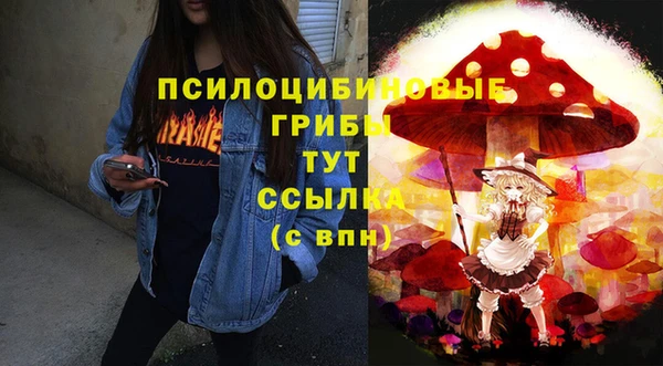гидра Белоозёрский