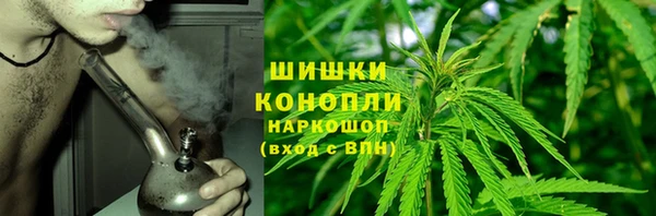 гидра Белоозёрский