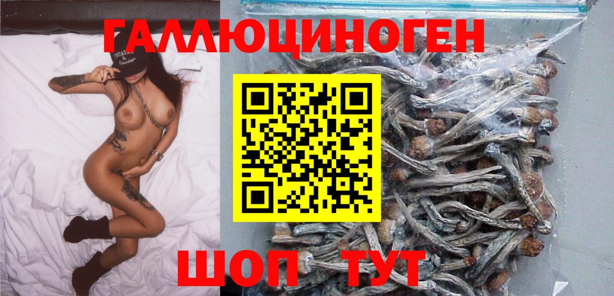 Видное  Псилоцибиновые грибы прущие грибы  Псилоцибиновые грибы прущие грибы  Вход с VPN 
