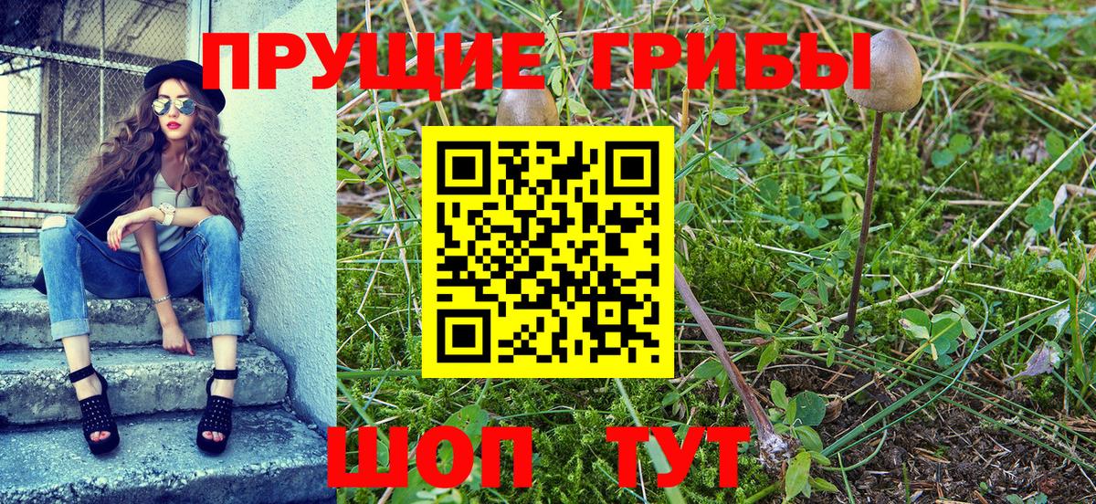 Галлюциногенные грибы Psilocybine cubensis  Видное 