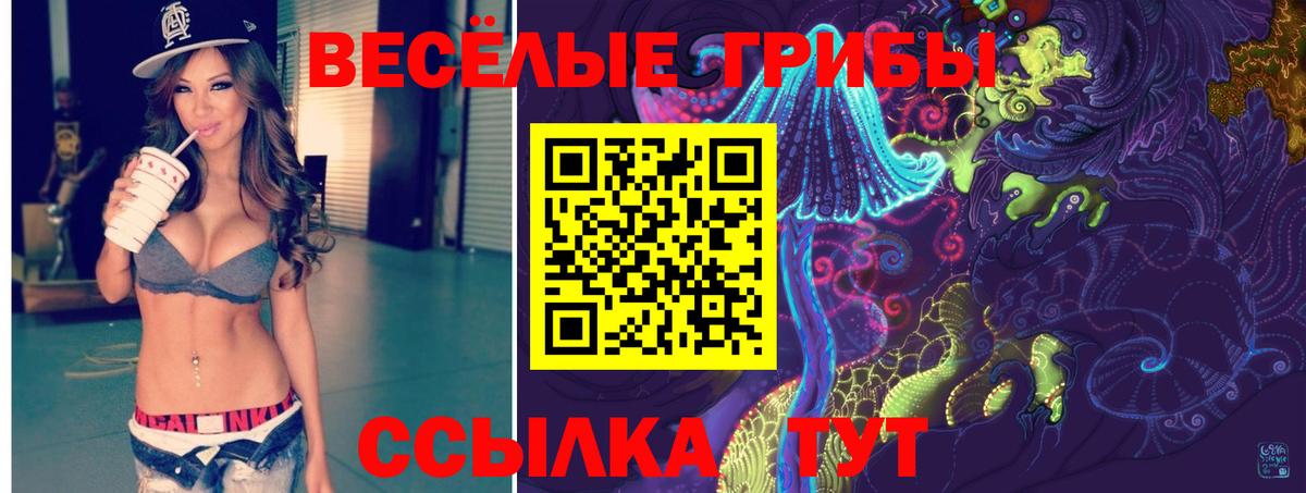 Галлюциногенные грибы Psilocybine cubensis Видное