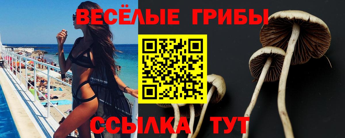 Псилоцибиновые грибы прущие грибы Видное